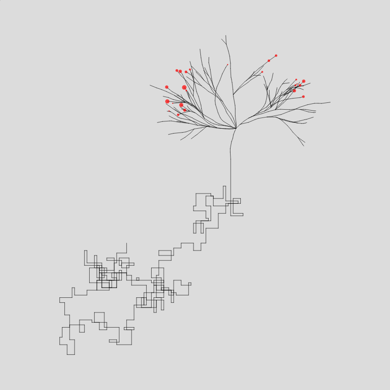 Algorithmic Tree