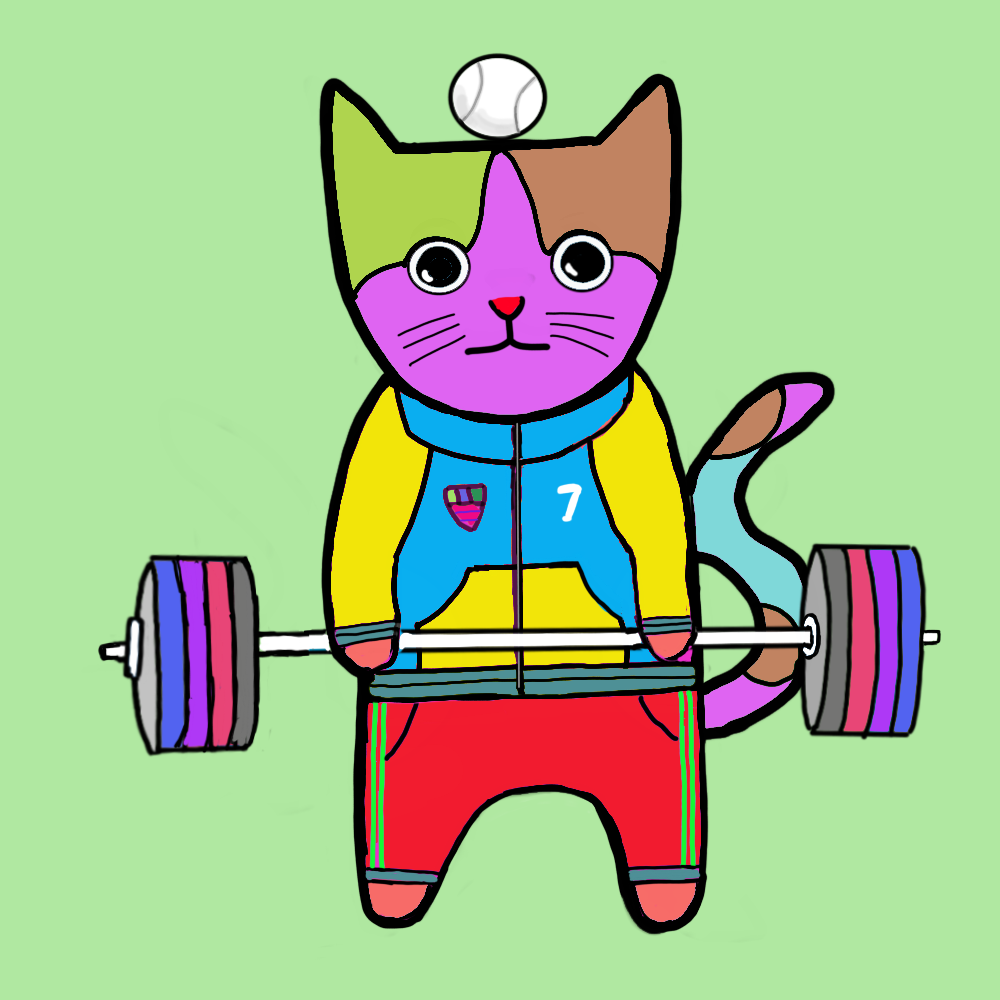 Sports cat #3