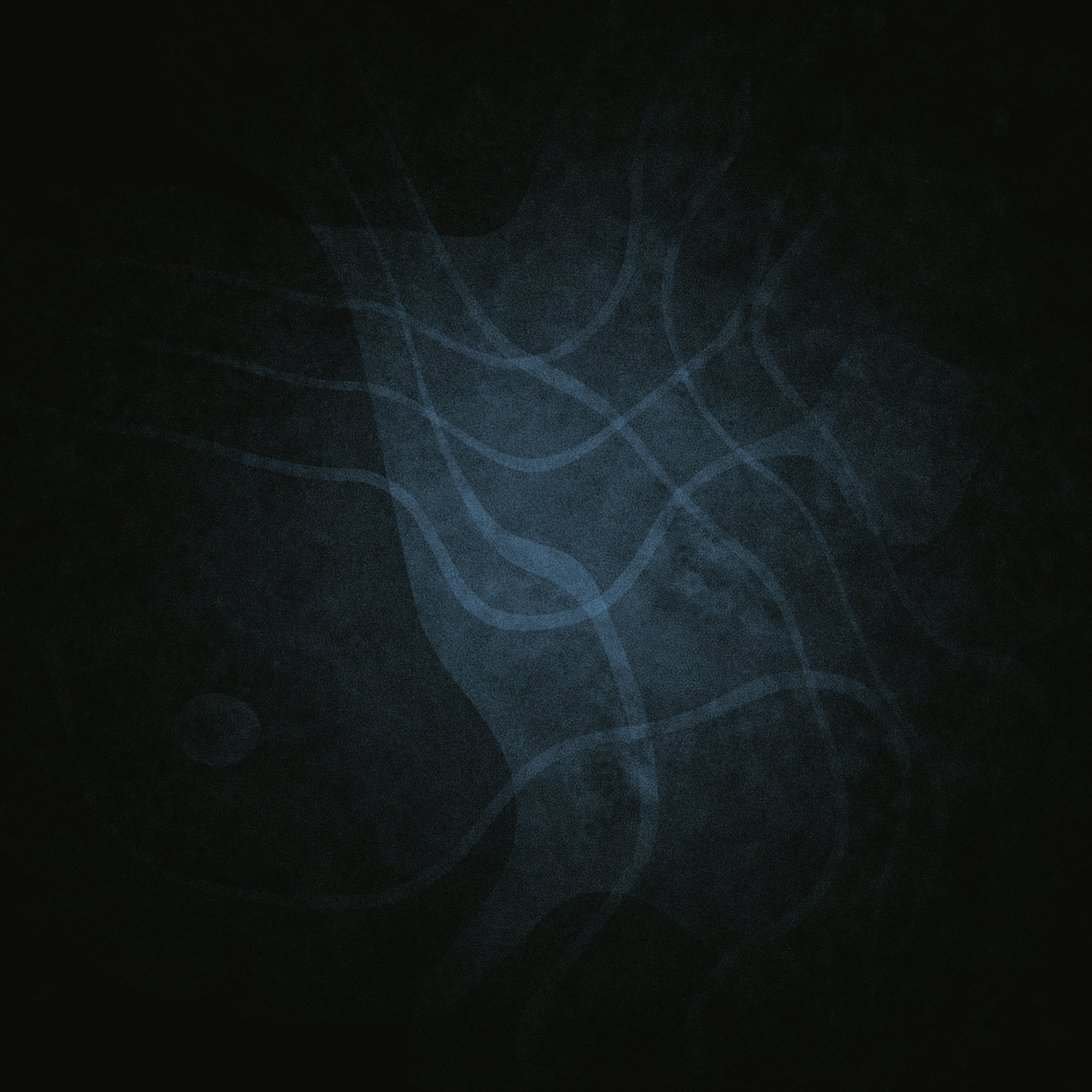 Beyond Dichotomy  #65