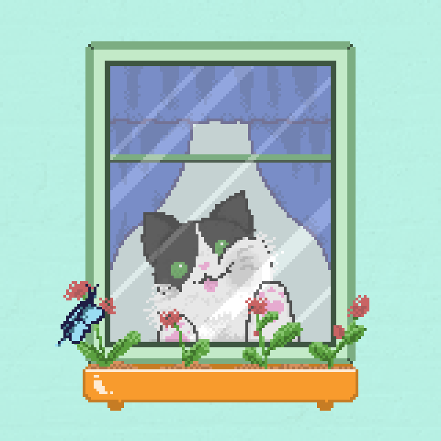 Window Catz #11