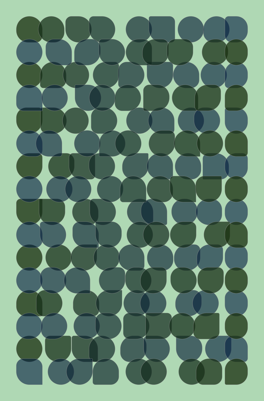 Boba #243