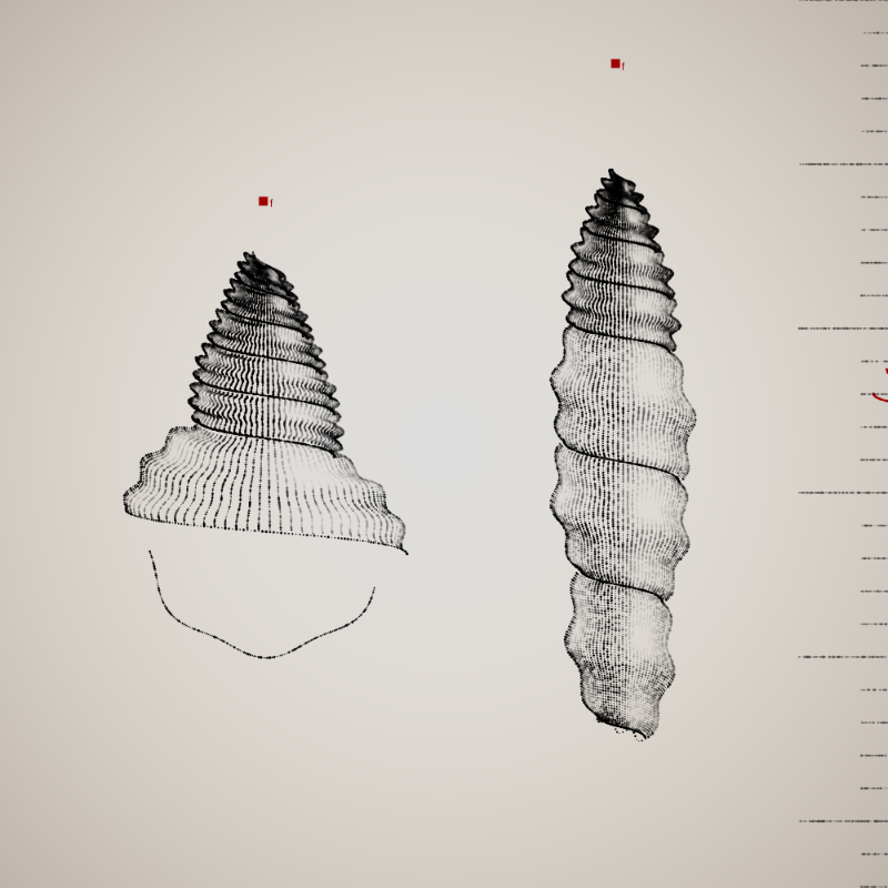 Two Specimen #315