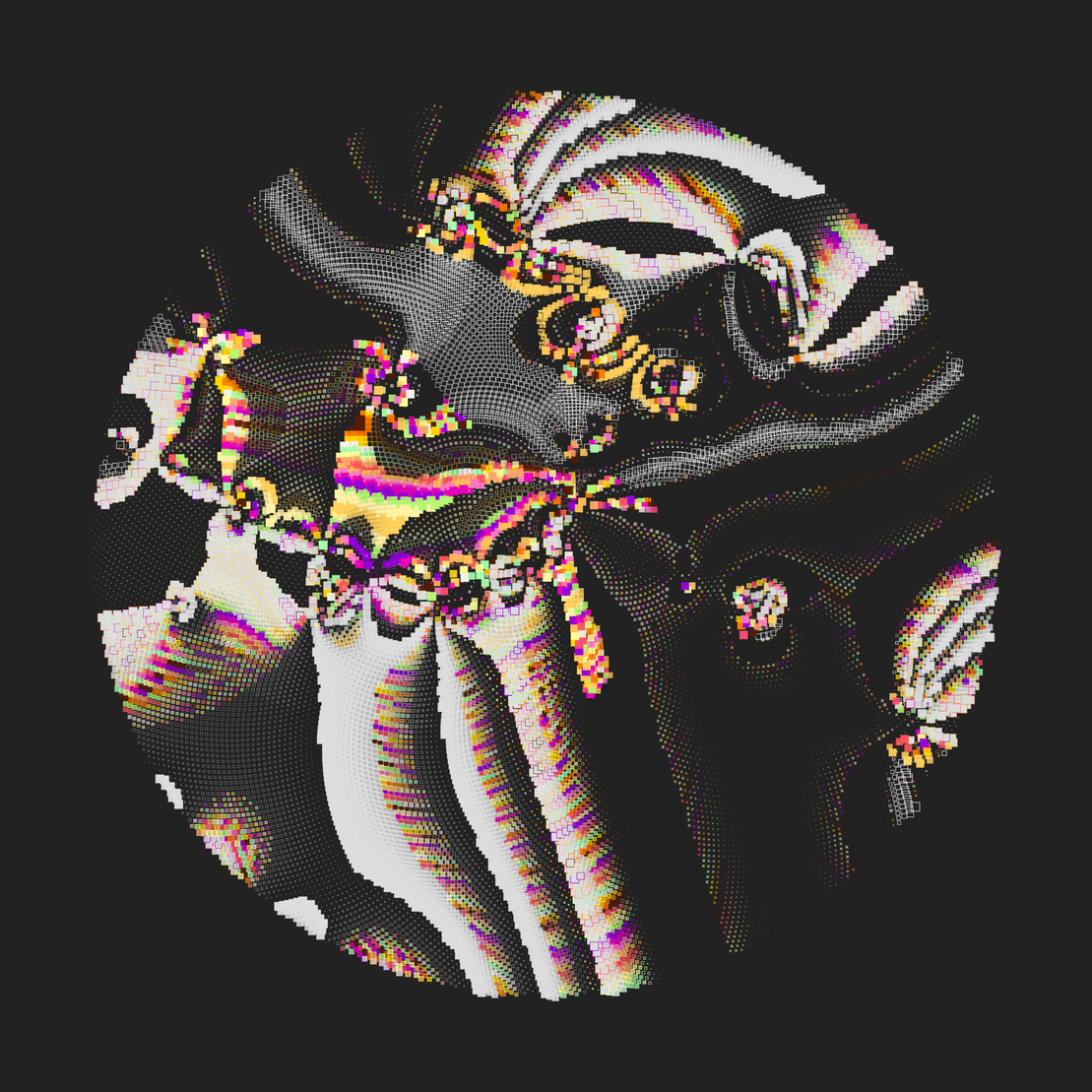Still C #28405