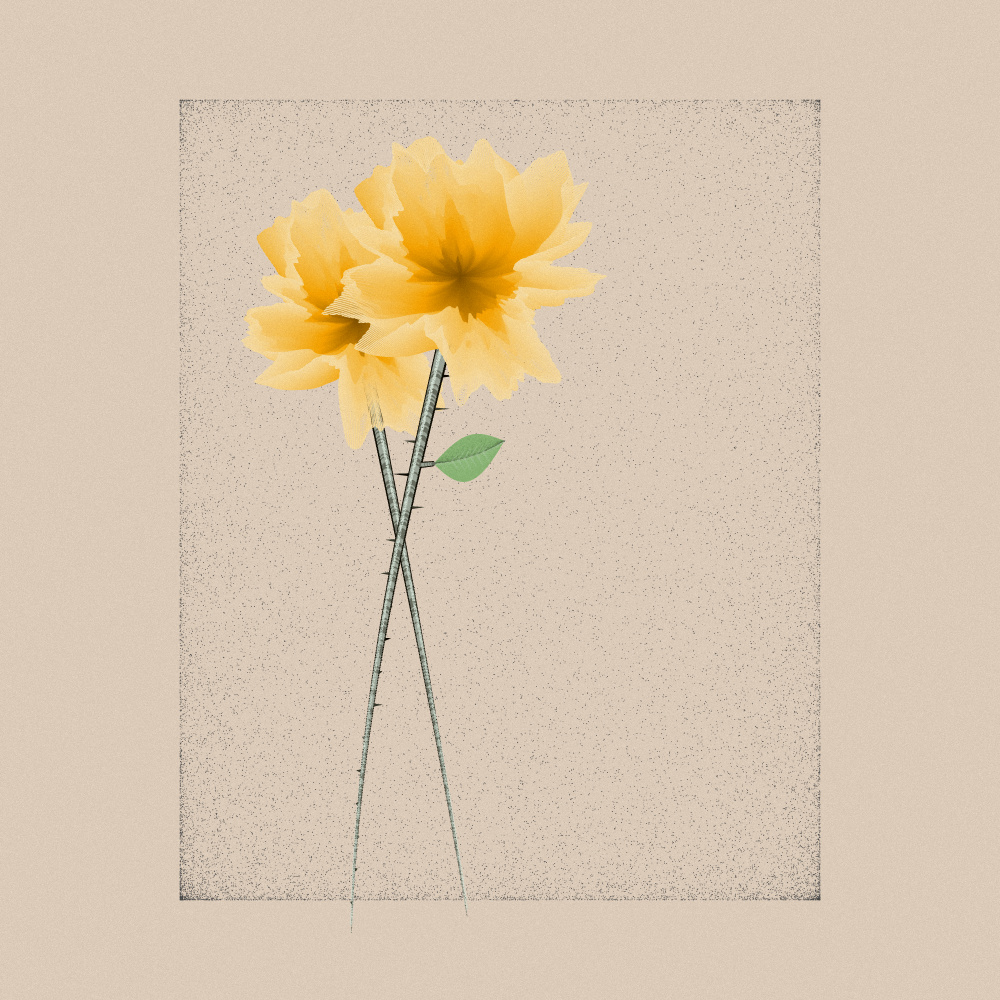 Magnolia #48