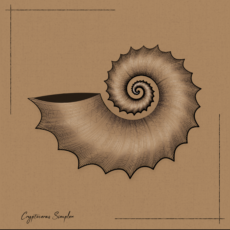 Ammonites #61