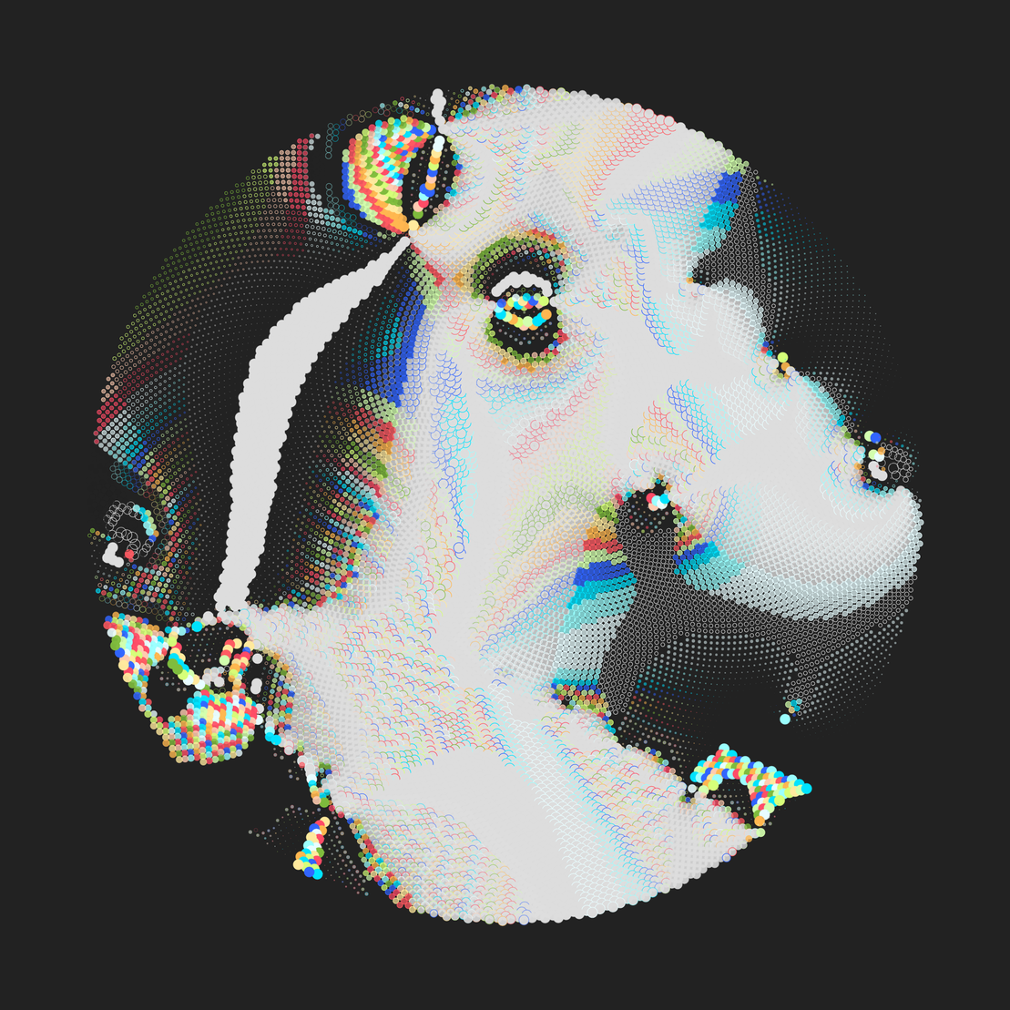 Still C #22236
