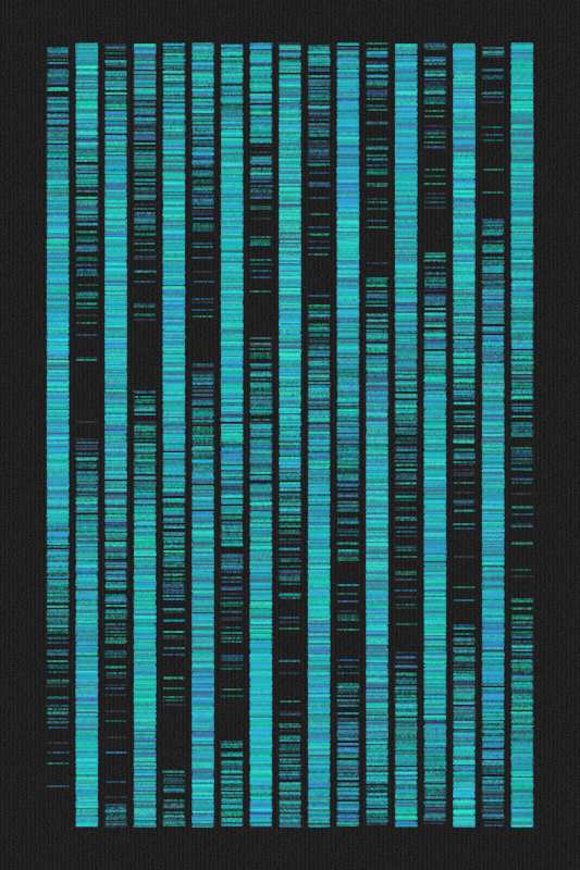 Sequence #154