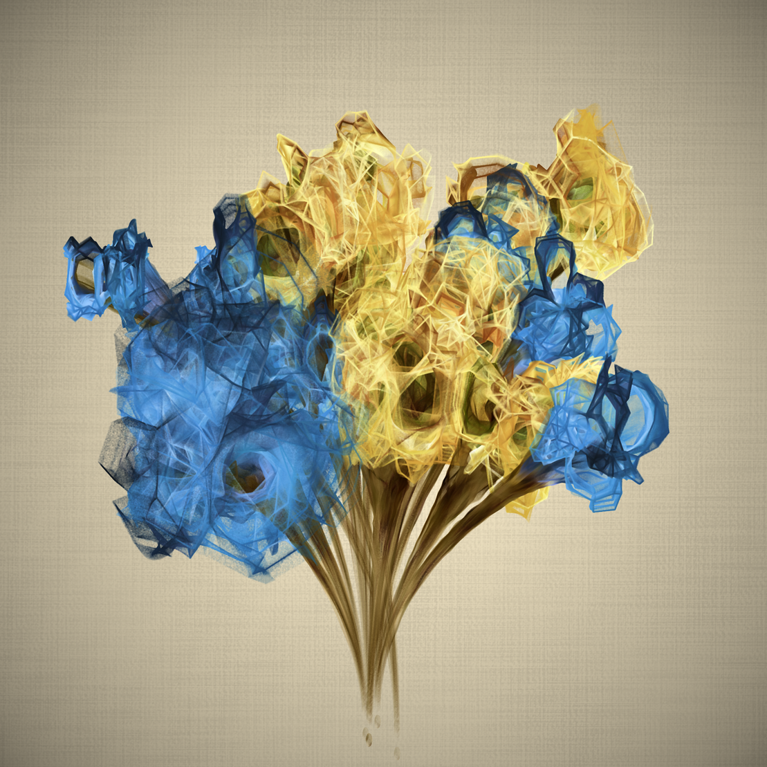 lilium #10