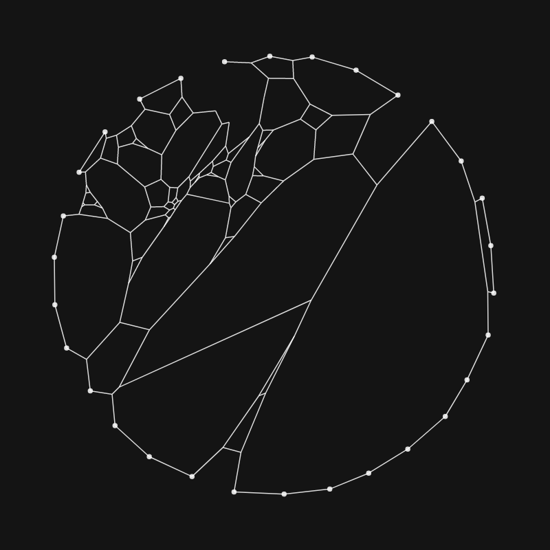 Elastic Web #24