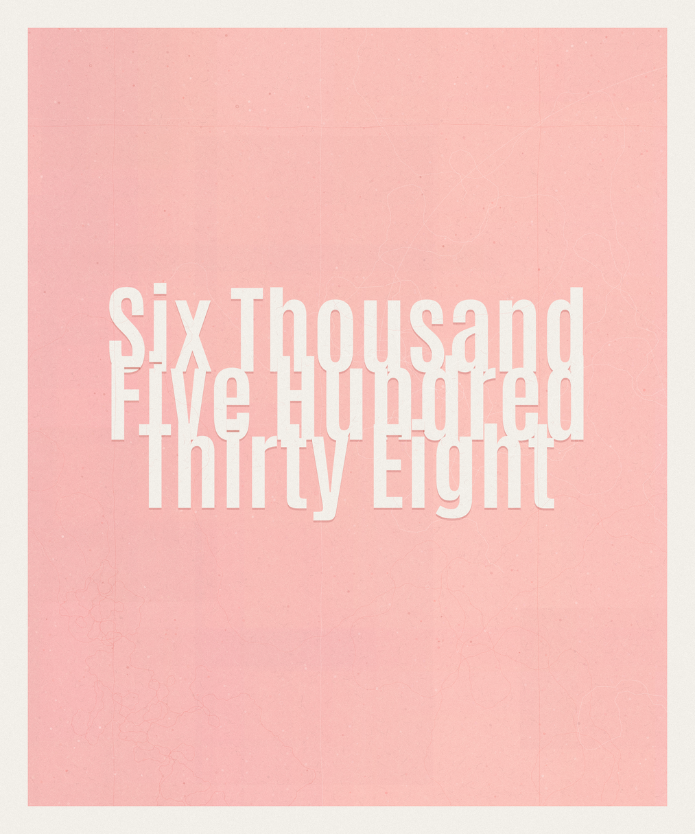 Count #6538