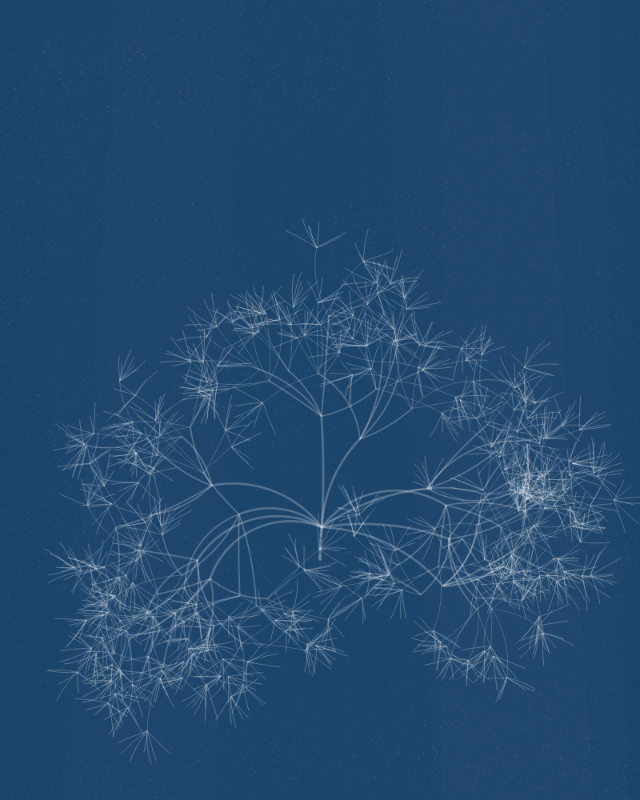 Cyanotypes #41