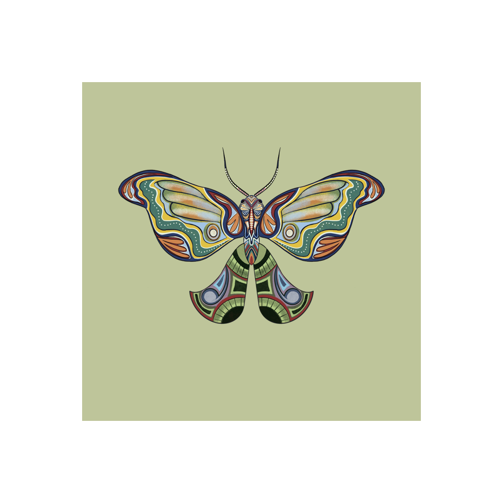 The Moth Experiment  #35