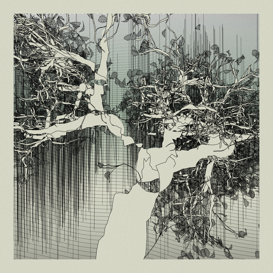A Bugged Forest #353