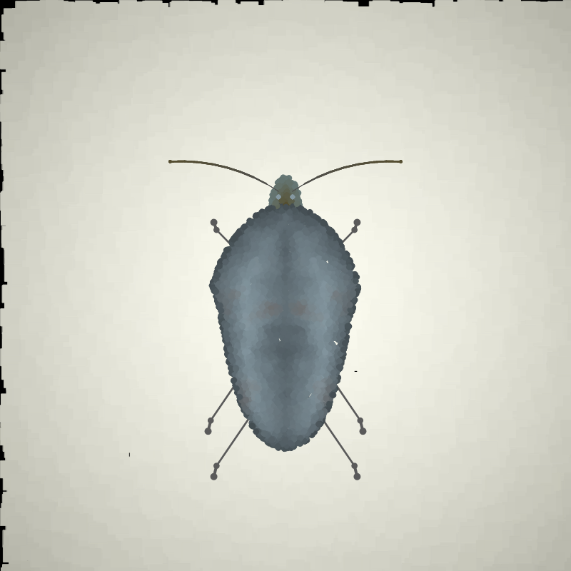 Beetle Sketches #3