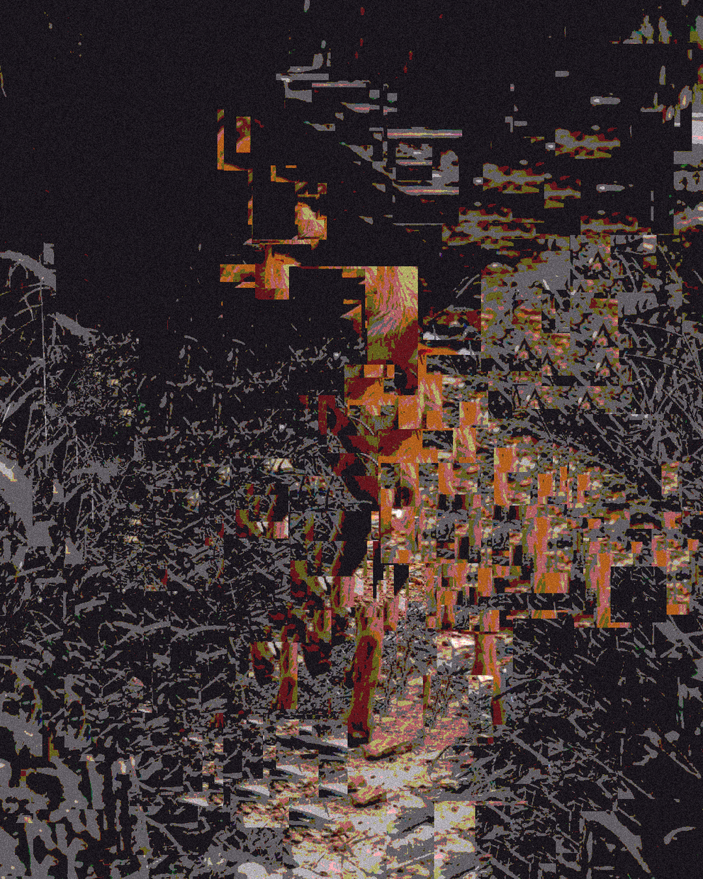 1888 - Glitch #19