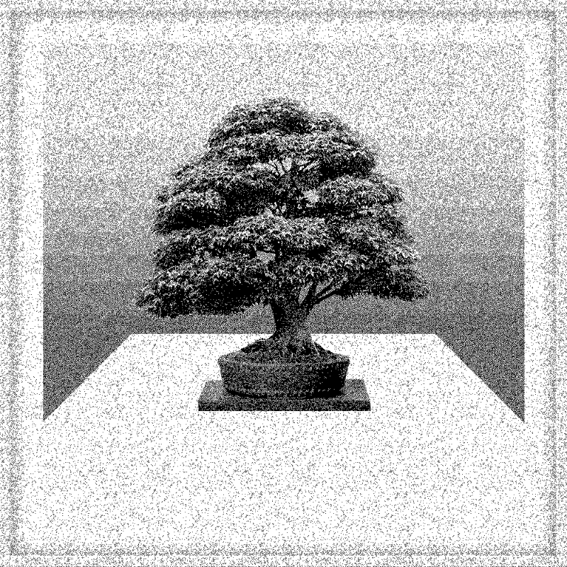 Bonsai Bonanza #604