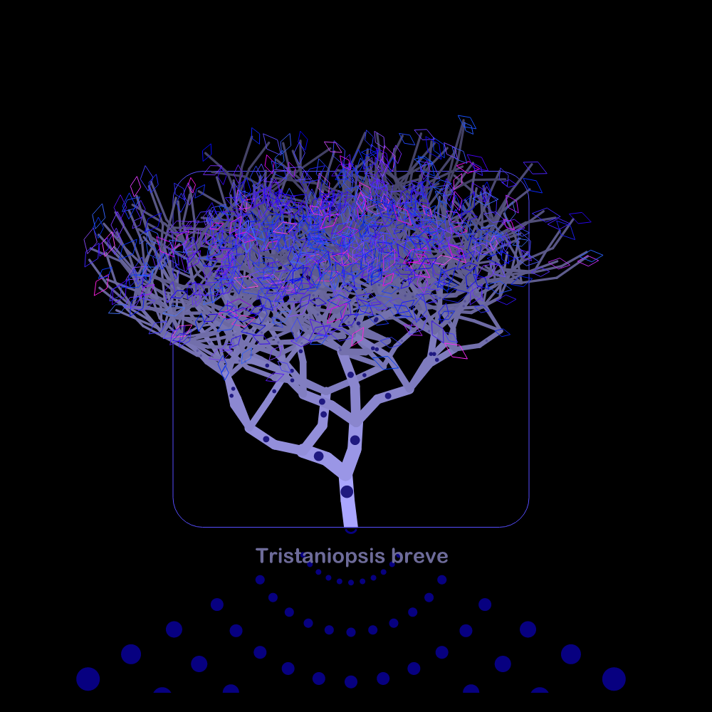 Fluidynamix - Trees #28