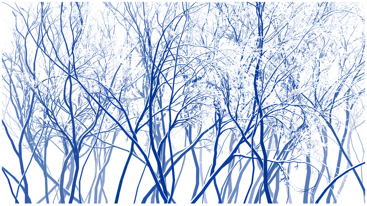 SCHNEEWALD #135