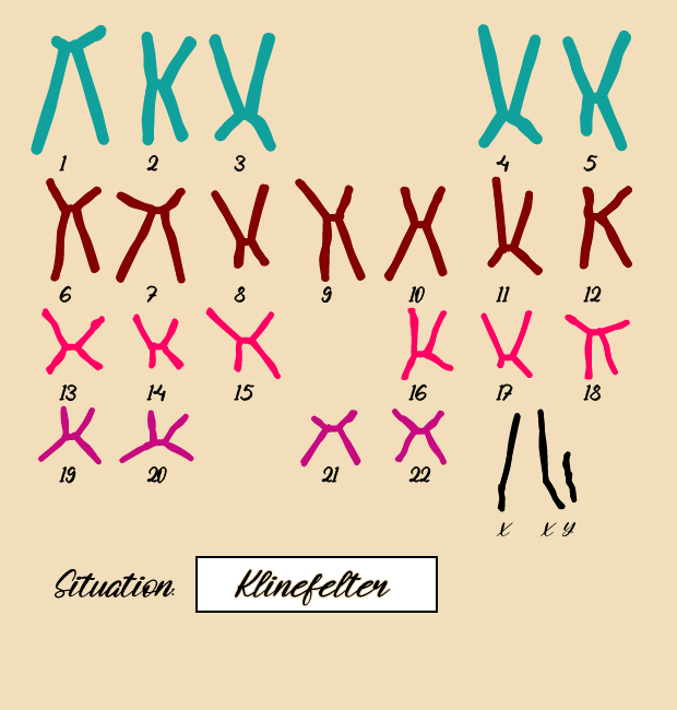 "Karyotype" #16