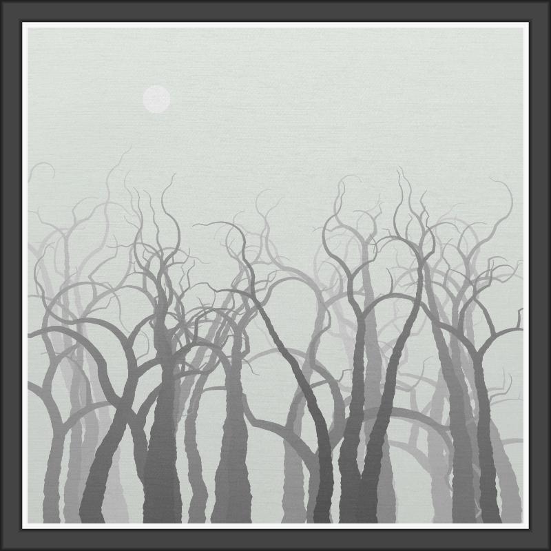 The Foggy Trees #142