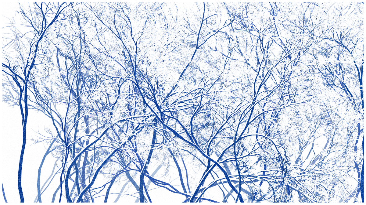 SCHNEEWALD #104