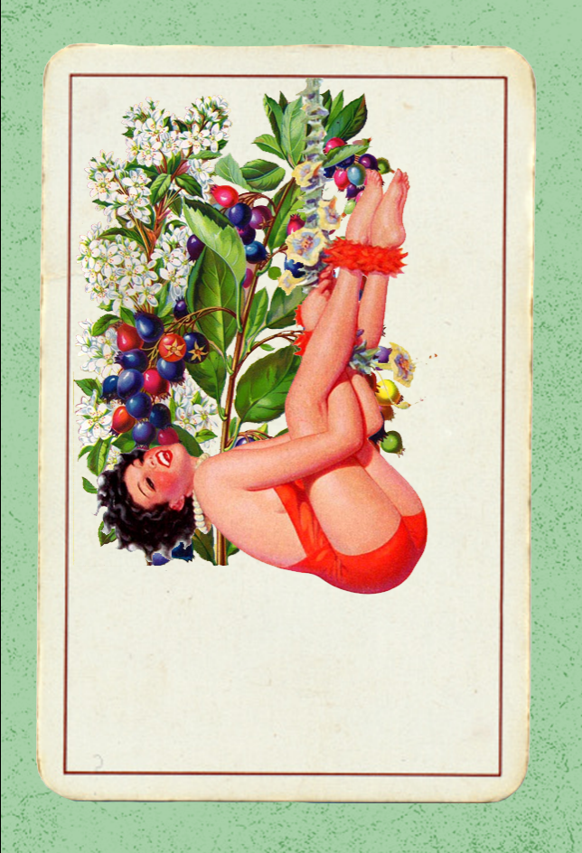 Paper Pinups  #39