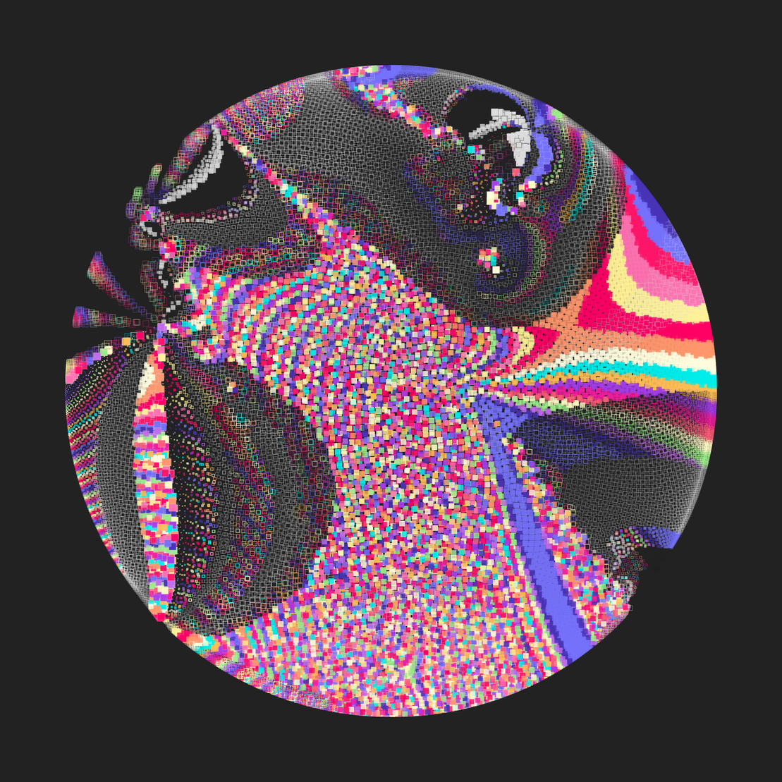 Still C #25240