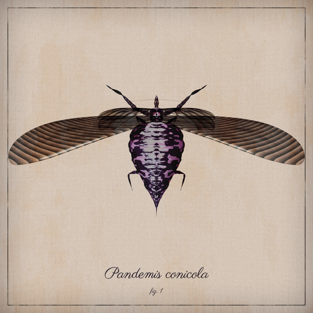 ProcGen Entomology #66
