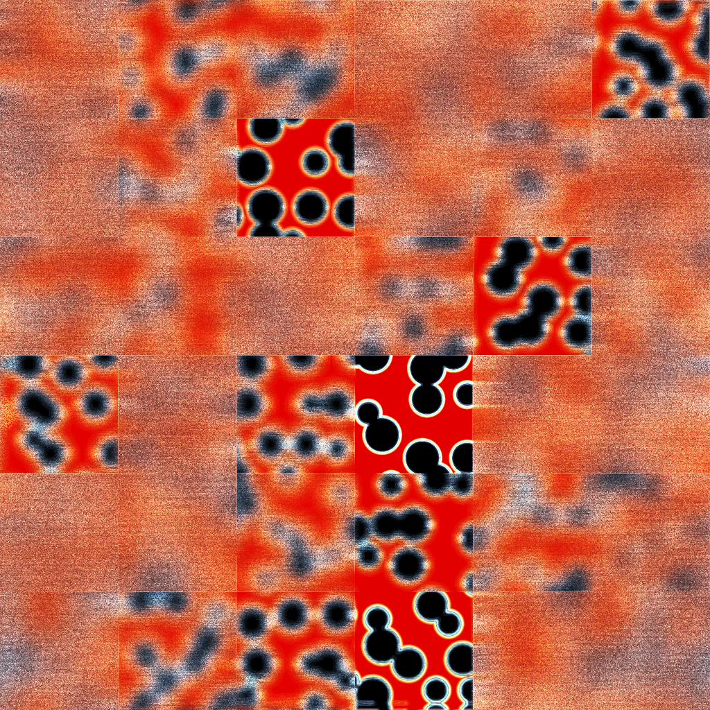Bacterias #40