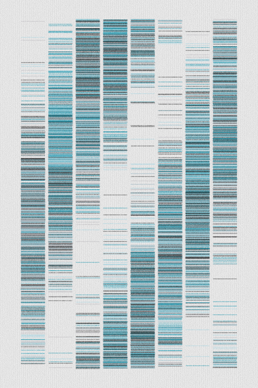 Sequence #16