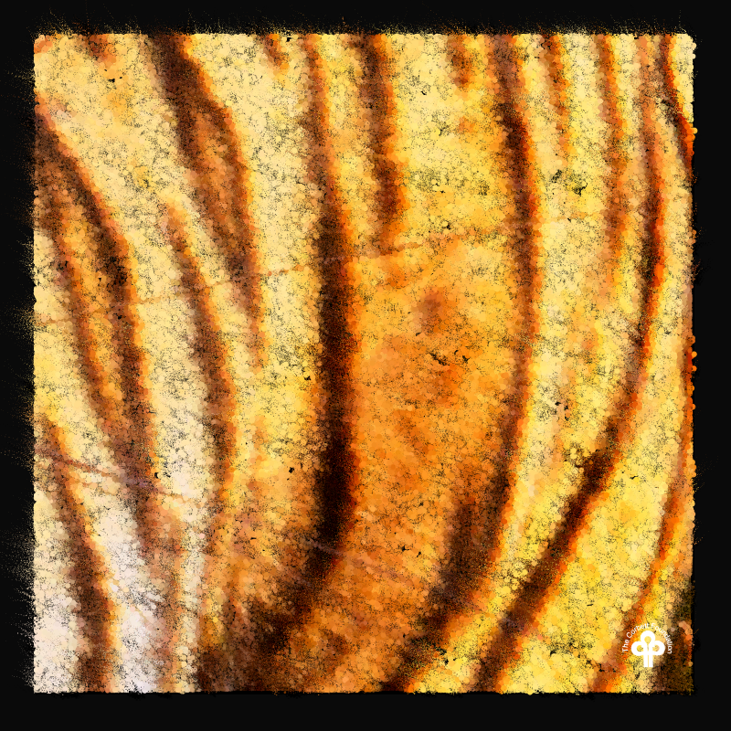 (re)generative tigers #1