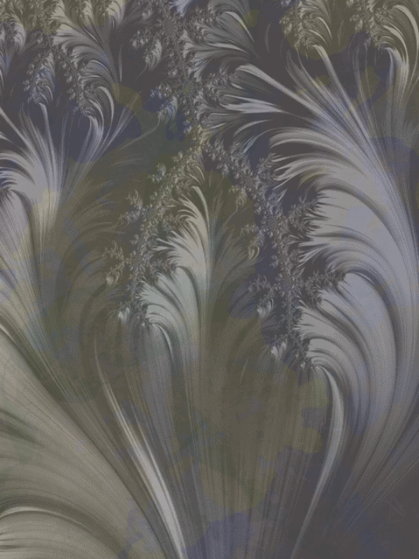 Fractal #200