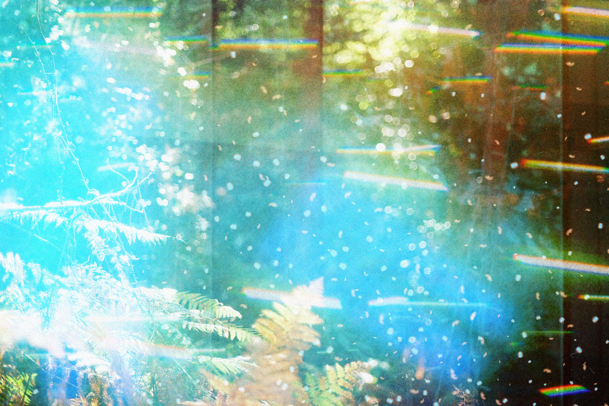 in between #3