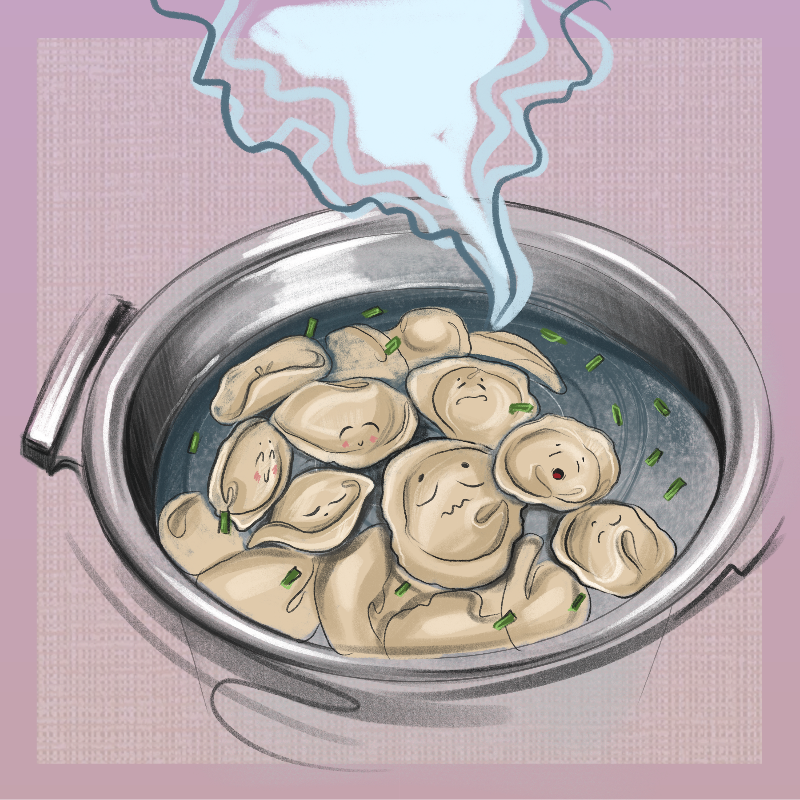 Dumplings #14