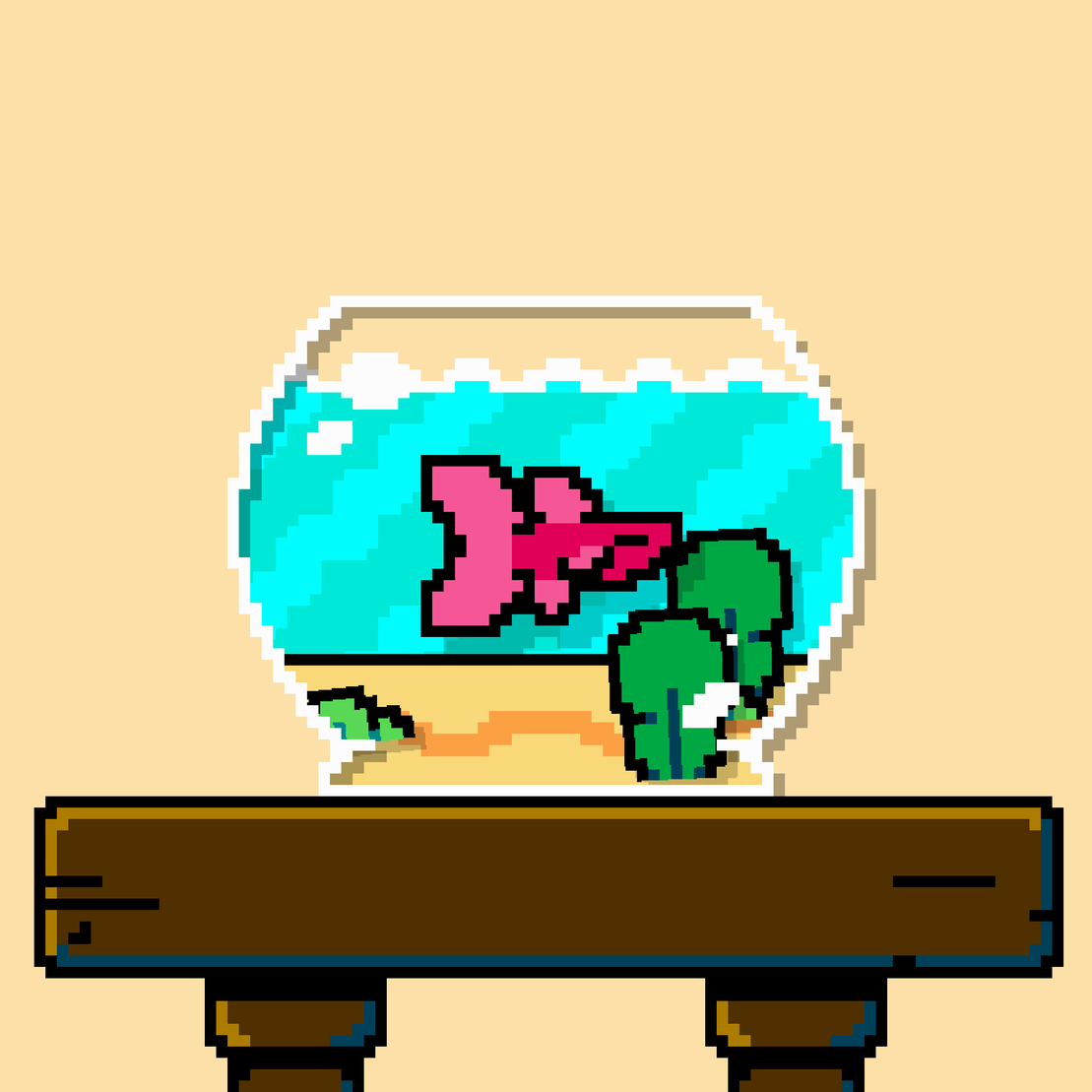 betta fish #490