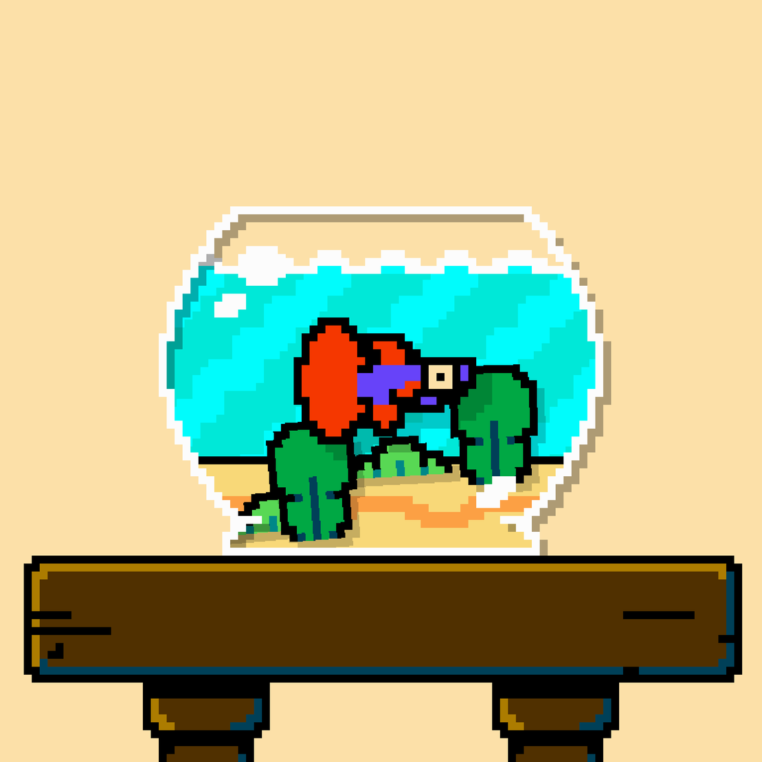 betta fish #111