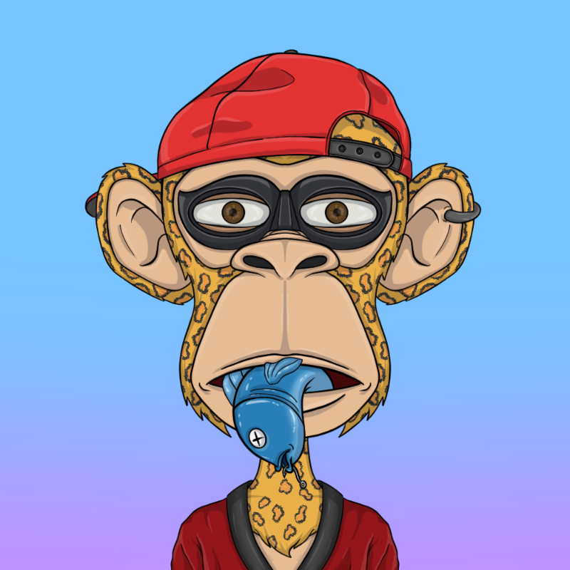 chimpantez #667