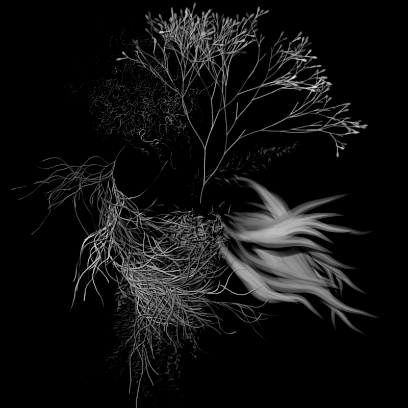 Botanical Ghosts #282