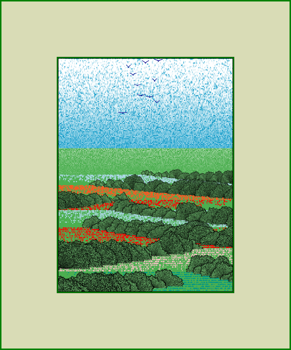 Fields of flowers #13