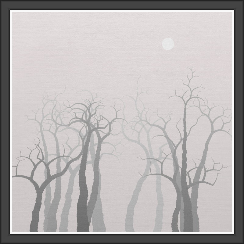 The Foggy Trees #30