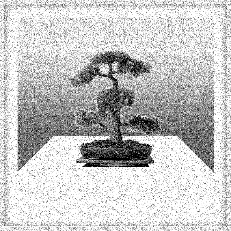 Bonsai Bonanza #598