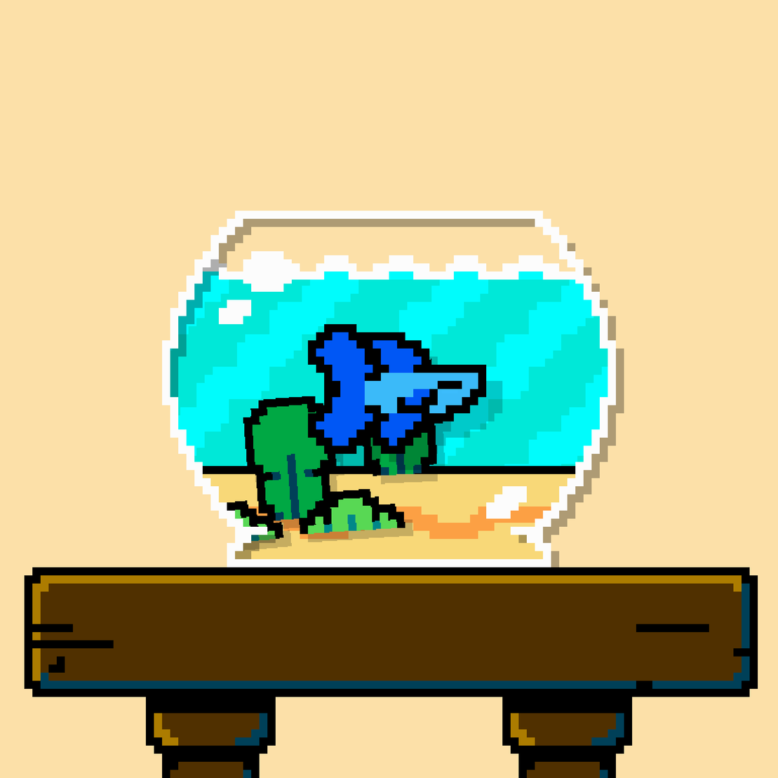 betta fish #67