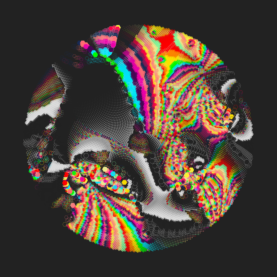 Still C #265