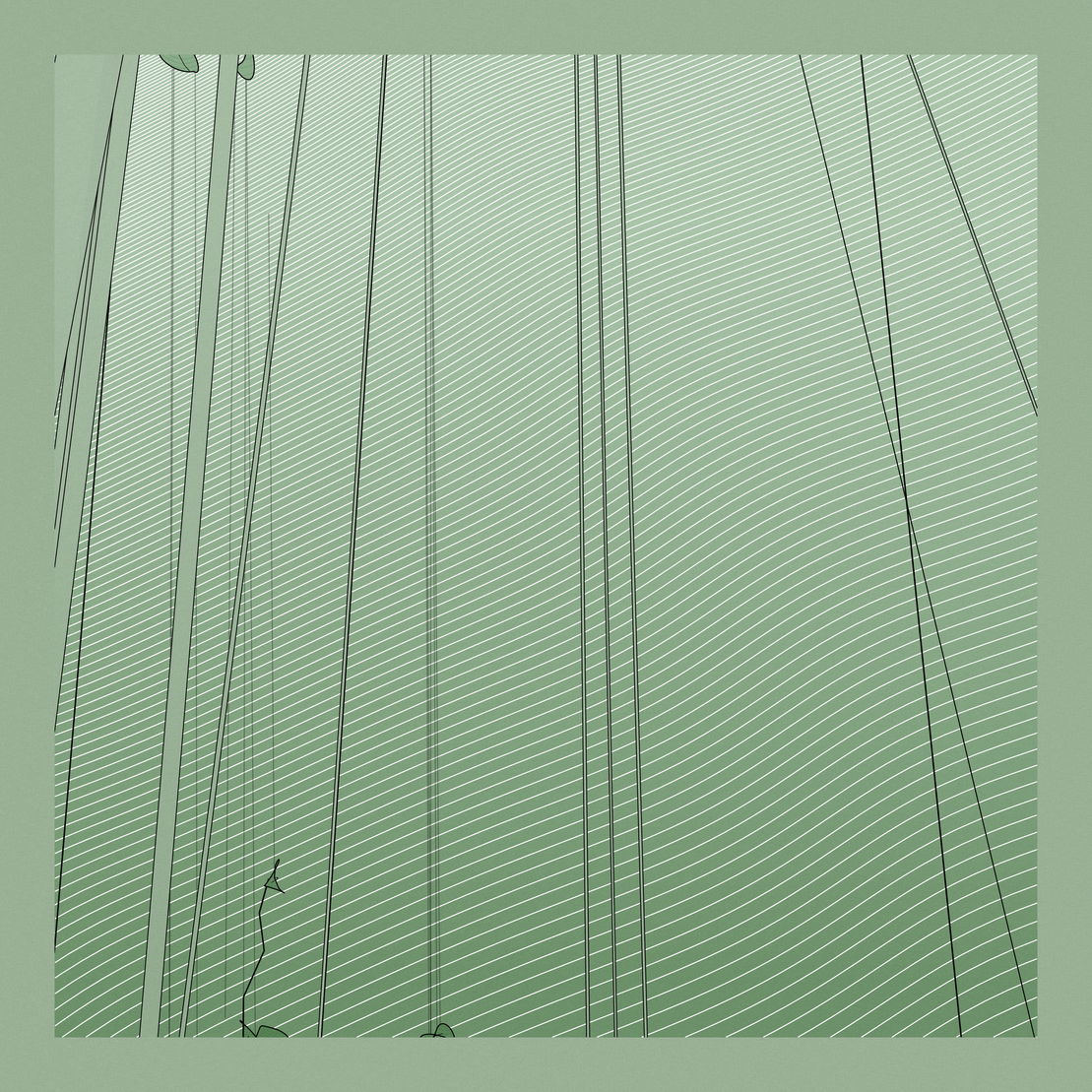 A Bugged Forest #189