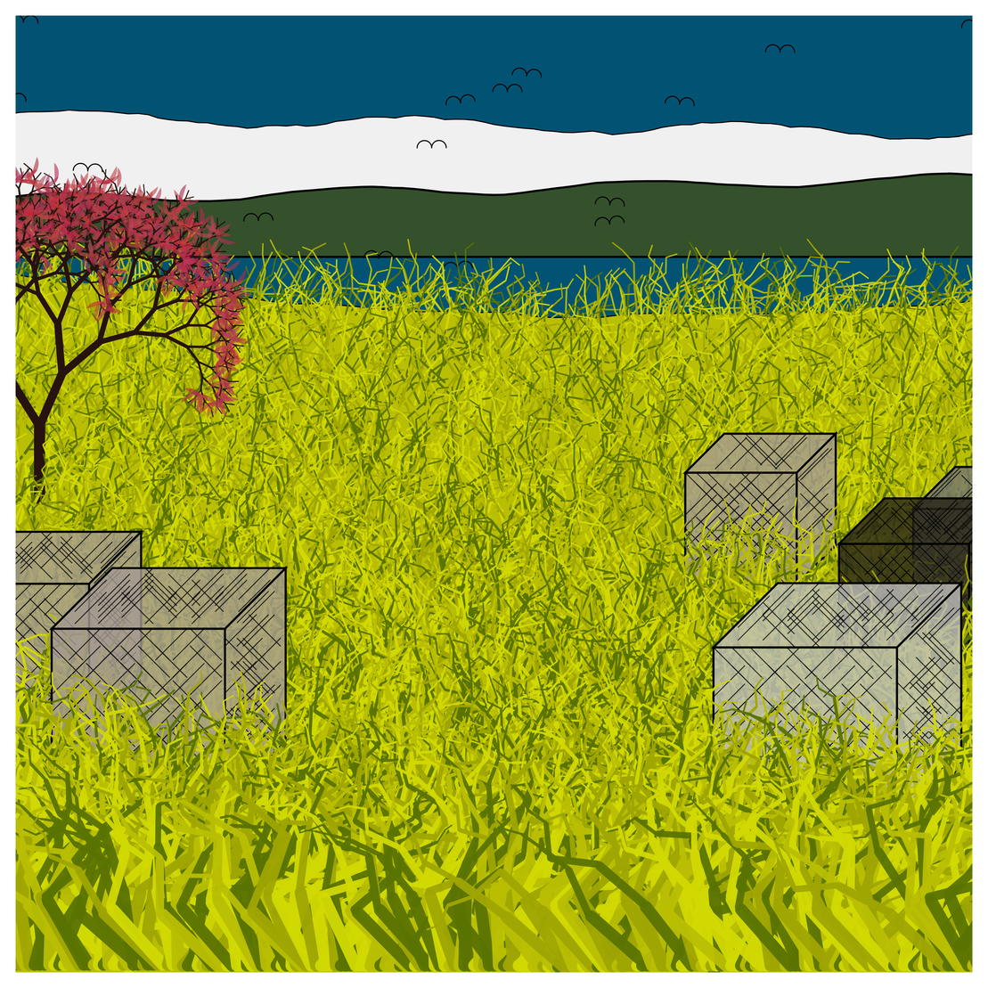 Cube Forest #51