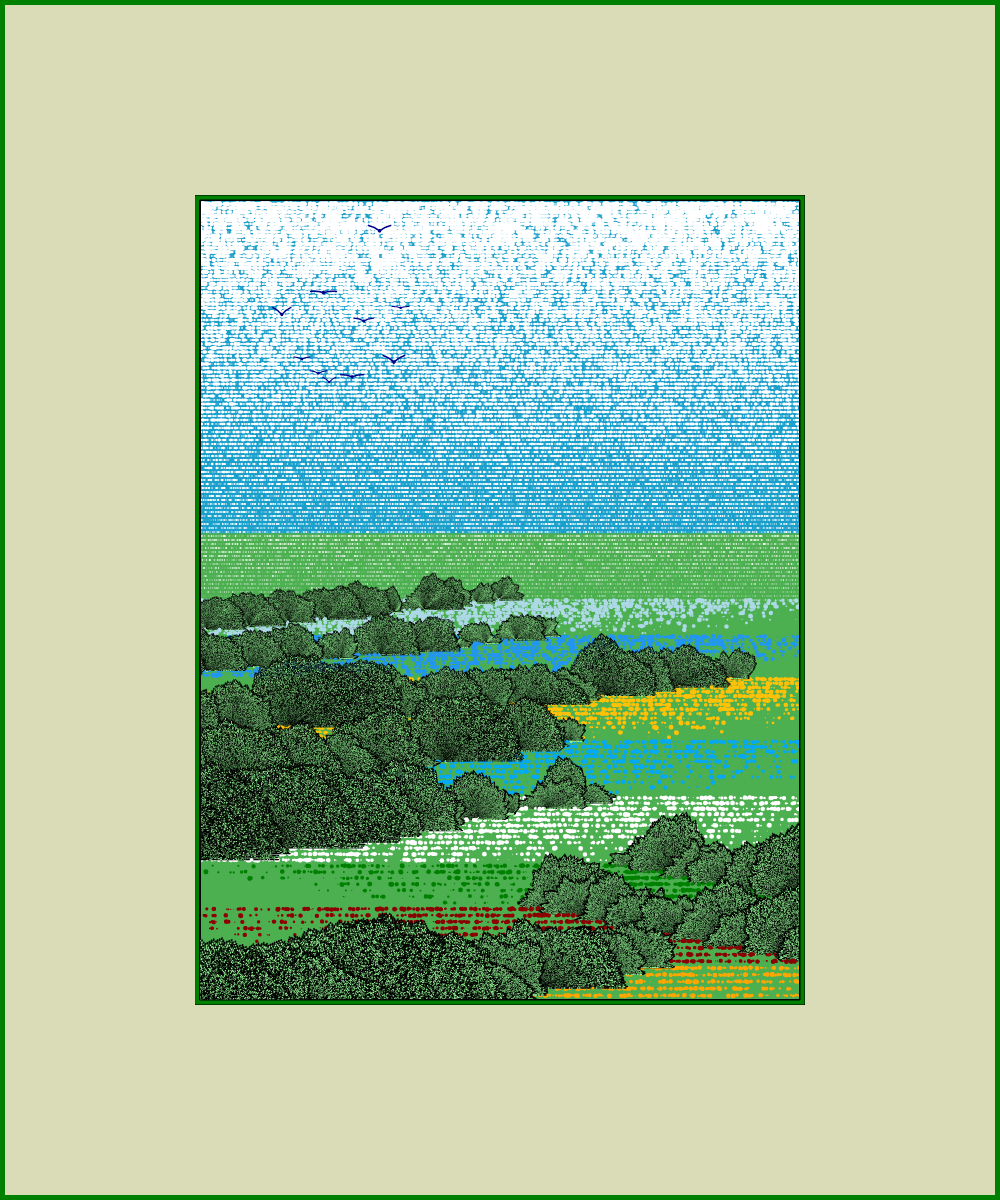 Fields of flowers #9