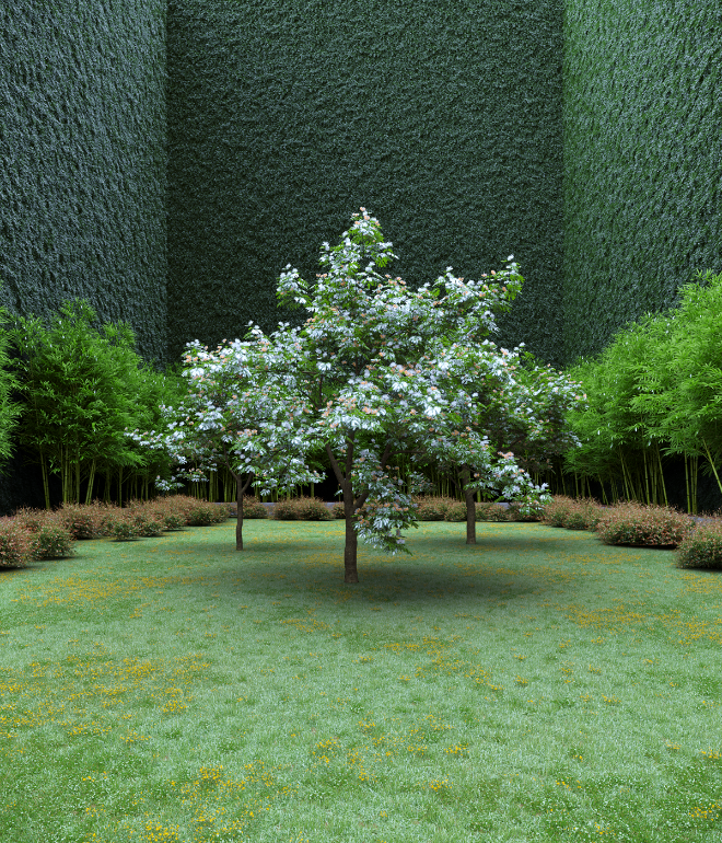 Garden of Imagination #46