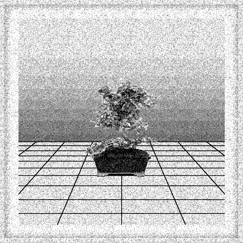 Bonsai Bonanza #426