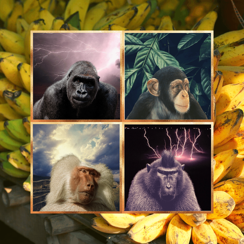 Banana legends #31