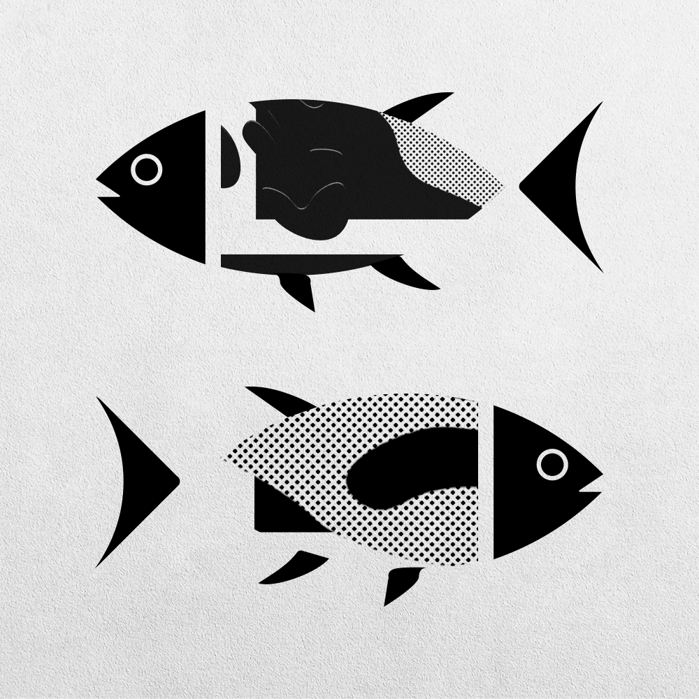 Fish Abstraction #13